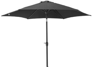 Miami napernyő, fekete