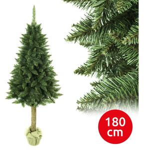 Elma Karácsonyfa tönkön 180 cm fenyőfa EA0002