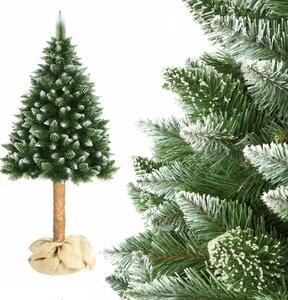 Karácsonyfa tönkön - Hegyi Erdeifenyő 180 cm Luxury Diamond