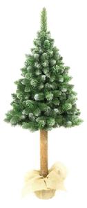 Karácsonyfa tönkön - Erdeifenyő 180 cm Luxury Diamond
