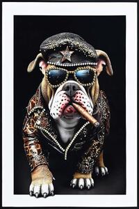 Bulldog Portré– keretezett, lakkozott vászonkép
