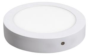 Rabalux Rabalux 2655 - LED Mennyezeti lámpa LOIS LED/12W/230V RL2655