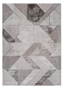 Artist Harro szürke, kültérre is alkalmas szőnyeg, 120 x 170 cm - Universal