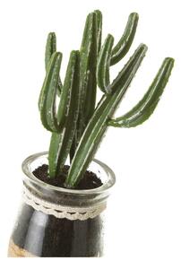 Műnövény szett 4 db-os (magasság 18 cm) Cactus – Casa Selección