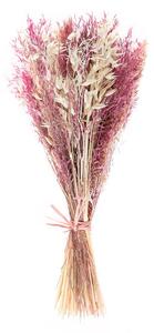 FLOWER MARKET szárított virágcsokor, "Heyday" natúr-pink