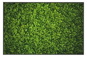 Ivy zöld szőnyeg, 80 x 140 cm - Oyo home