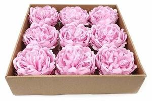 Szappanvirág peonia fejek dobozban - rózsaszín