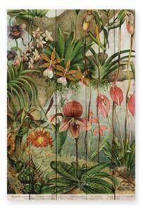 Jungle Flowers fali dekoráció borovi fenyőből, 60 x 40 cm - Madre Selva