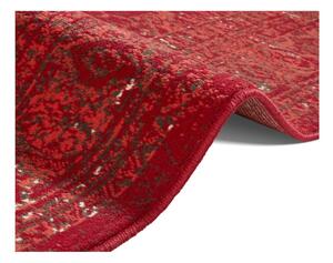 Celebration Plume piros szőnyeg, 80 x 150 cm - Hanse Home