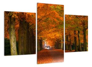 Kép - utazás, keresztül, erdő, ősszel (90x60cm)