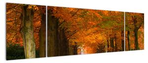 Kép - utazás, keresztül, erdő, ősszel (170x50cm)