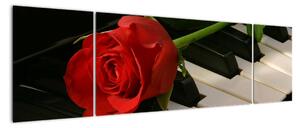 Képek - rózsa a zongorán (170x50cm)