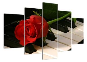 Képek - rózsa a zongorán (150x105cm)
