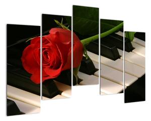 Képek - rózsa a zongorán (125x90cm)