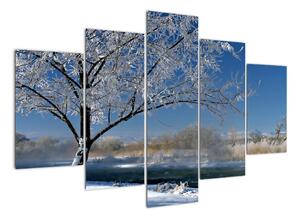Kép - fagyos, téli, táj (150x105cm)
