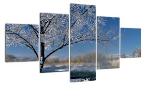 Kép - fagyos, téli, táj (125x70cm)
