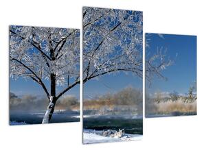 Kép - fagyos, téli, táj (90x60cm)