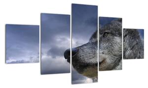 Kép - farkas (125x70cm)