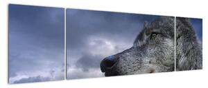 Kép - farkas (170x50cm)