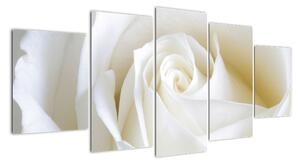 Kép - fehér, rózsák (150x70cm)