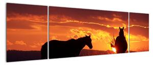 Kép - lovak, napnyugtakor (170x50cm)