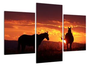 Kép - lovak, napnyugtakor (90x60cm)