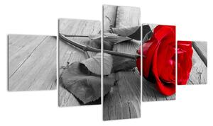 Kép - rózsa, piros virág (125x70cm)