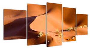 Kép - sivatagi, dűnék (150x70cm)