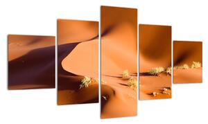 Kép - sivatagi, dűnék (125x70cm)