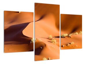 Kép - sivatagi, dűnék (90x60cm)