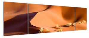 Kép - sivatagi, dűnék (170x50cm)