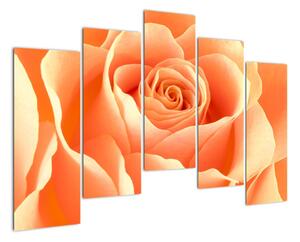 Kép - narancs, roses (125x90cm)