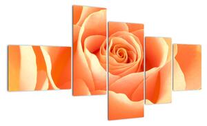 Kép - narancs, roses (150x85cm)