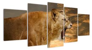 Kép - ordít, oroszlán (150x70cm)