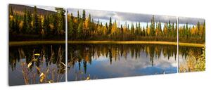 Kép a falon - erdei tó (170x50cm)
