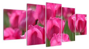 Festmények - tulipánok (150x70cm)