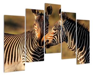 Kép - zebra (125x90cm)