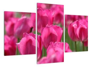 Festmények - tulipánok (90x60cm)