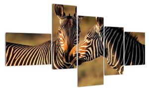 Kép - zebra (150x85cm)