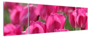 Festmények - tulipánok (170x50cm)