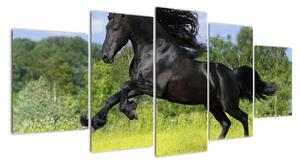 Festészet - lovak (150x70cm)