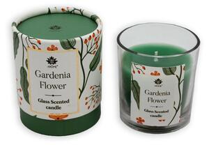 Arome Gardenia Flower illatgyertya üvegpohárban, 120 g