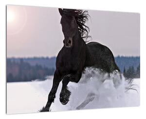 Kép - lovak, a hóban