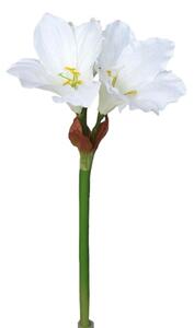 Mű amarilisz, fehér, 52 cm