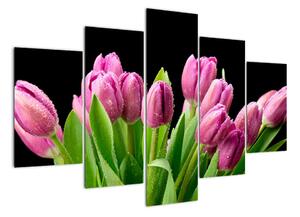 Kép - tulipán (150x105cm)