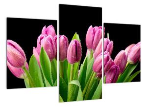 Kép - tulipán (90x60cm)