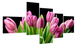 Kép - tulipán (150x85cm)