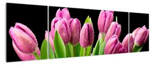 Kép - tulipán (170x50cm)