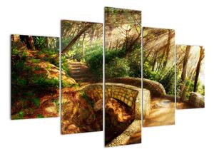 Kép - erdei, ösvények (150x105cm)