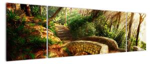 Kép - erdei, ösvények (170x50cm)